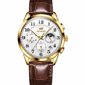 OLEVS 2890 Original Quart Watch for Men Chronograph Sports Men’s Wristwatch Leather Strap Waterproof Luxury Brand Male Watch New
